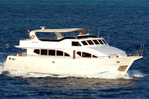 M/Y Discovery Croisière de plongée bateau de safari à mer rouge sud en Egypte