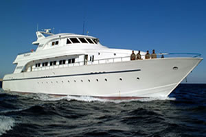 M/Y Excellence Croisière de plongée bateau de safari à mer rouge sud en Egypte