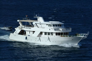 M/Y Sir Coosteau Croisière de plongée bateau de safari à mer rouge sud en Egypte
