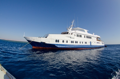 M/Y Sea Queen I yacht à moteur de luxe - Croisière de plongée bateau de safarià avec coque en acier à Sharm el-Sheikh en Egypte